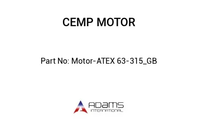 Motor-ATEX 63-315_GB