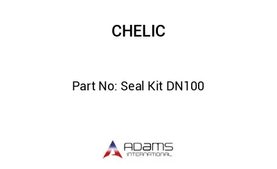 Seal Kit DN100