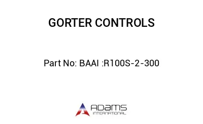 BAAI :R100S-2-300