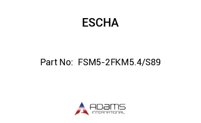  FSM5-2FKM5.4/S89