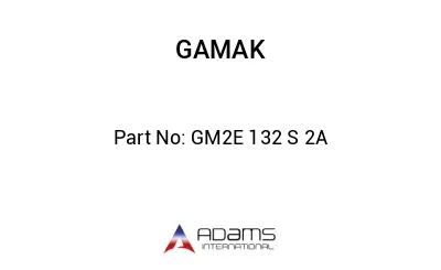 GM2E 132 S 2A