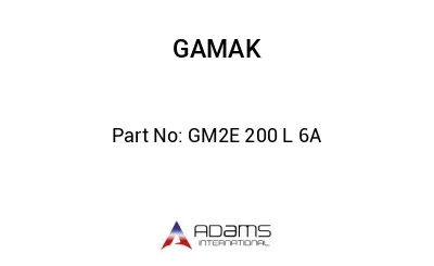 GM2E 200 L 6A