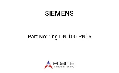 ring DN 100 PN16