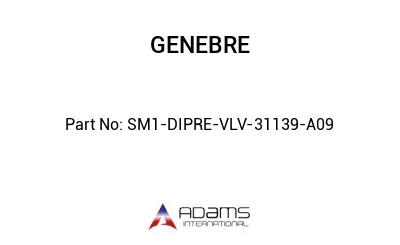 SM1-DIPRE-VLV-31139-A09