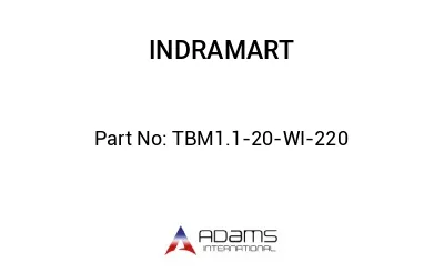 TBM1.1-20-WI-220